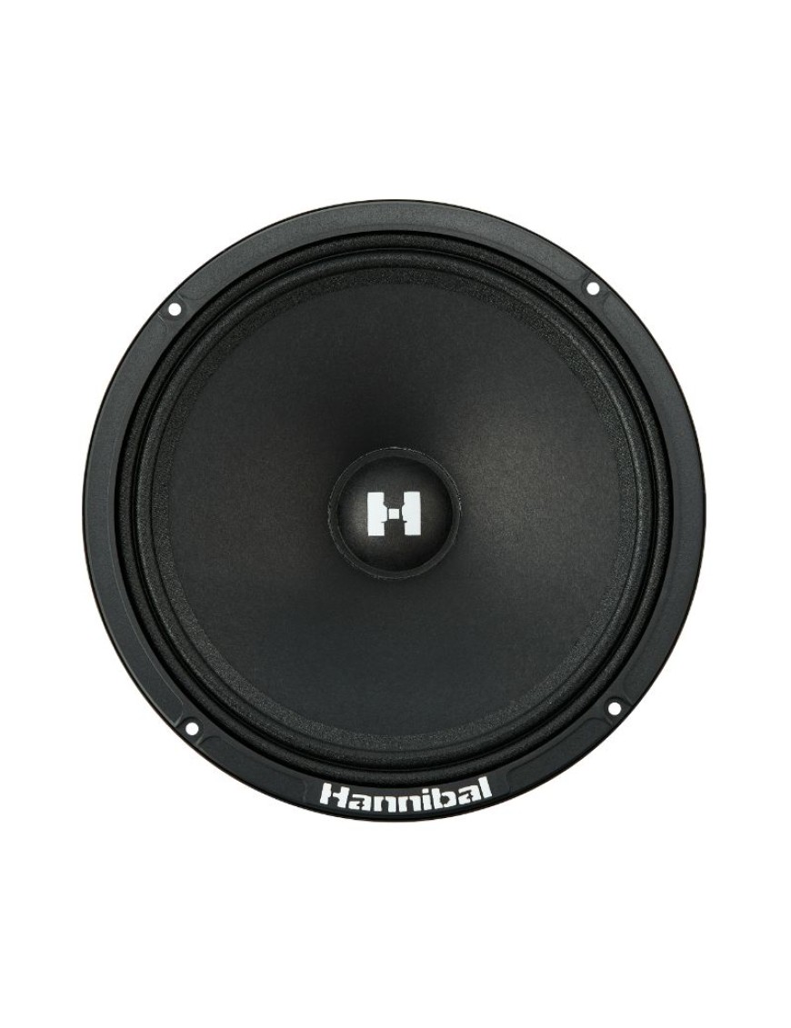 Difuzoare auto Hannibal HM-8E  8” 20cm